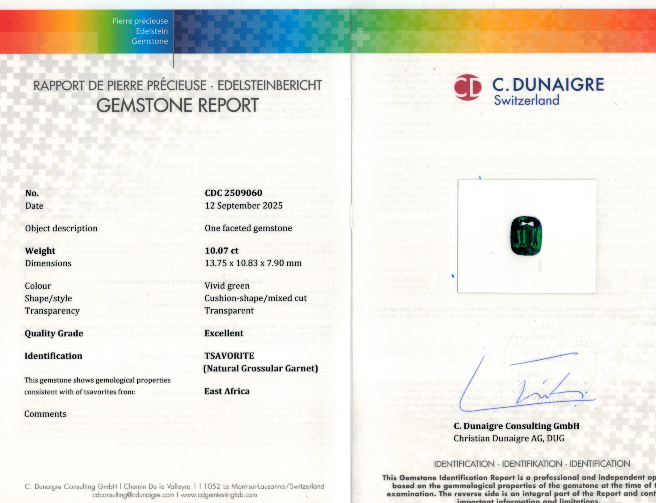 13.75X10.83MM ANTIQUE CUSHION  N/A TSAVORITE 10.07CT